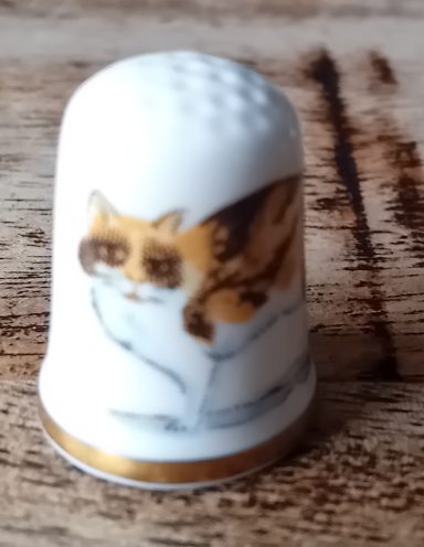 tortoiseshell and white