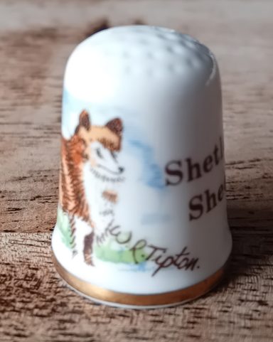 shetland sheepdog