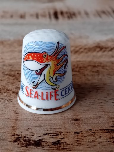 sea life