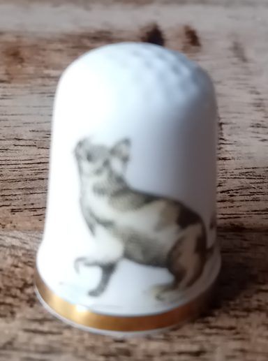 bleu cream burmese